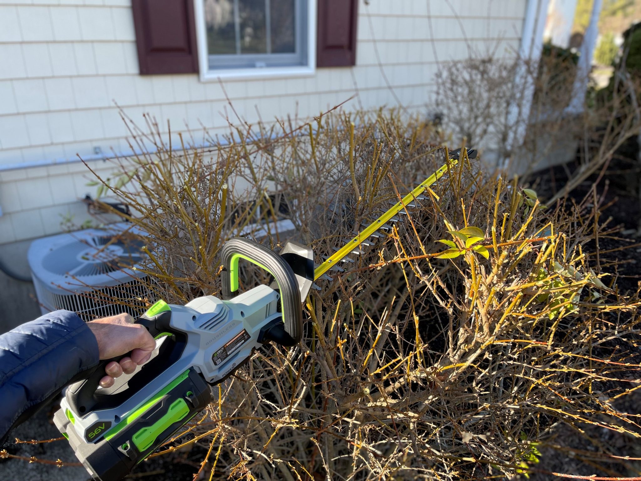 Best electric hedge trimmer outlet for thick branches