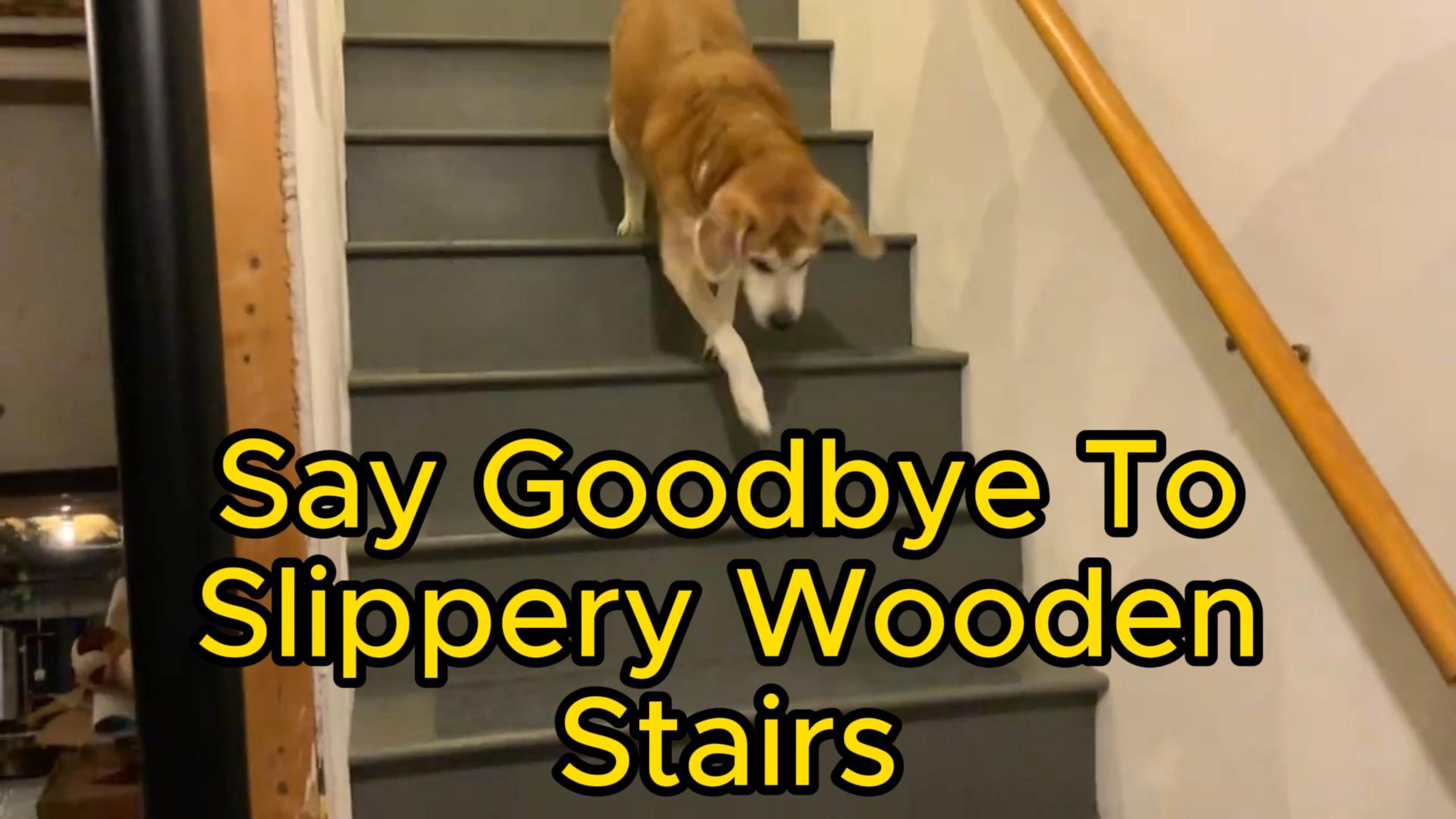 Removable & Washable Stair Treads For Dogs Easy DIY Install